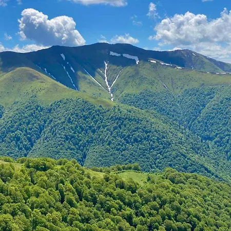 під боржавою 公寓