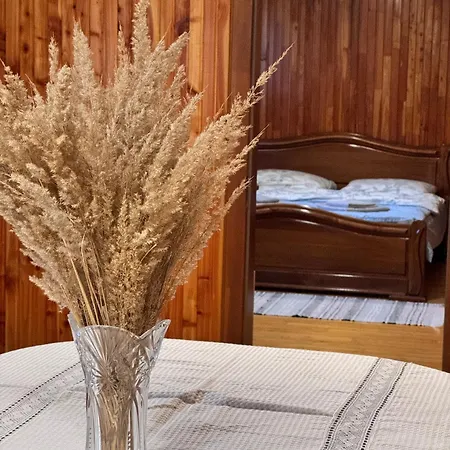 Apartment під боржавою Volovets