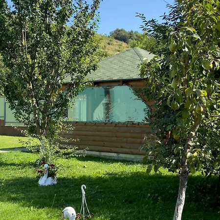 Apartamento під боржавою