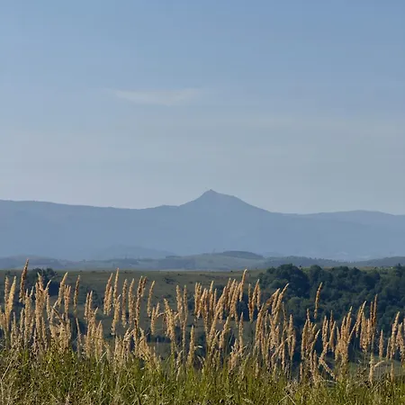 公寓 під боржавою *