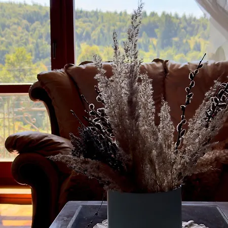 під боржавою Apartamento Volovets