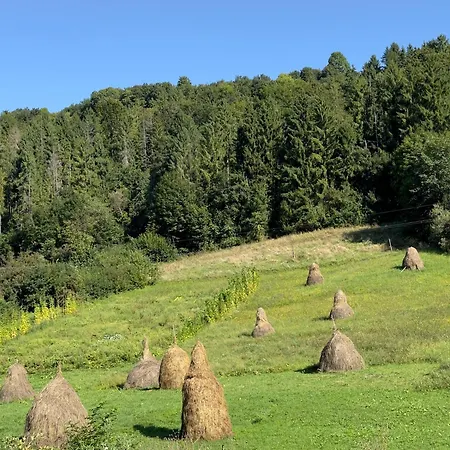 公寓 під боржавою 沃洛韦齐