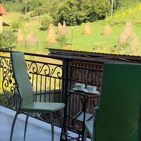 під боржавою * 沃洛韦齐