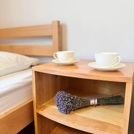 під боржавою Apartamento Volovets